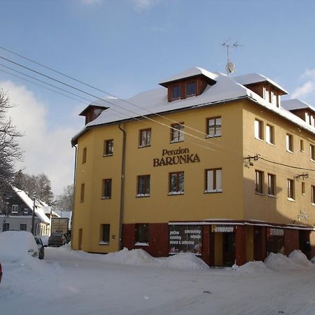 Penzion Barunka Vysoké nad Jizerou Exteriör bild